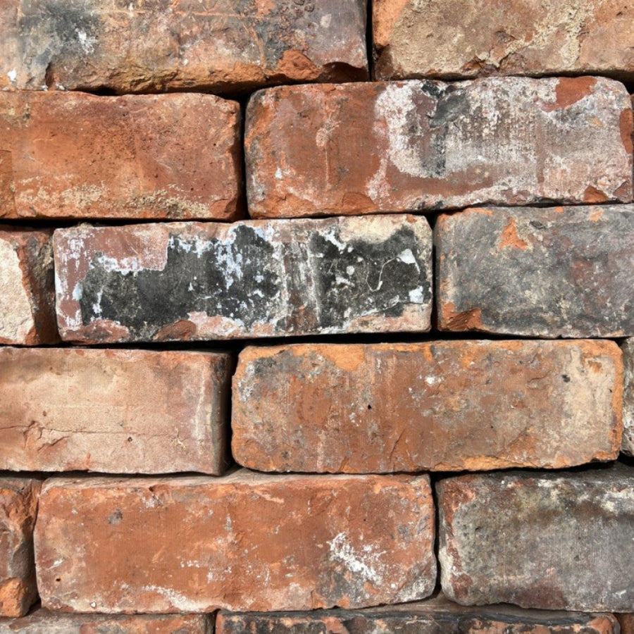 cheshire_wirecuts