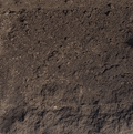top soil